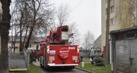 Fotka nr 5 z 10