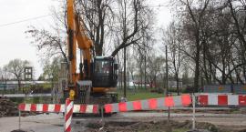 zdjęcie nr 13