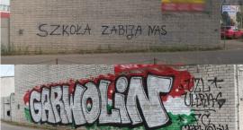 zdjęcie nr 15