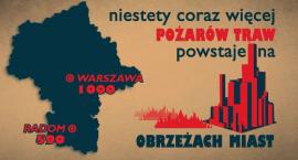 Fotka nr 2 z 3