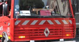 Fotka nr 2 z 11