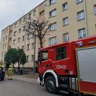 zdjęcie nr 11