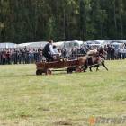 zdjęcie nr 81