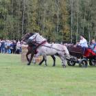 zdjęcie nr 117