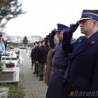zdjęcie nr 45