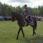 zdjęcie nr 141