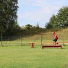 Fotka nr 4 z 168