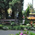 zdjęcie nr 43
