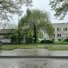 Fotka nr 5 z 8