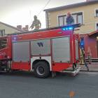 Fotka nr 5 z 9