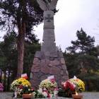 zdjęcie nr 13