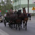 zdjęcie nr 120
