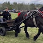 zdjęcie nr 82