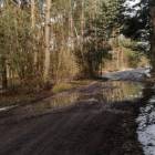 zdjęcie nr 37