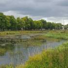 zdjęcie nr 46