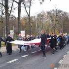 zdjęcie nr 187
