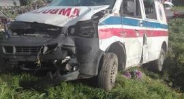 Fotka nr 2 z 15