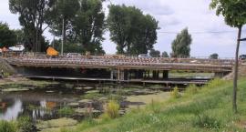 Fotka nr 5 z 16