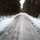 Fotka nr 4 z 37