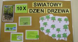 zdjęcie nr 60