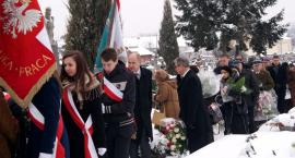 zdjęcie nr 7