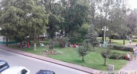 zdjęcie nr 32