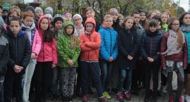 zdjęcie nr 11