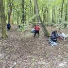 zdjęcie nr 
