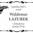 zdjęcie nr 8