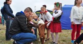 zdjęcie nr 94