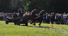 zdjęcie nr 7