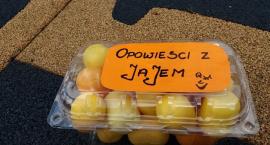 zdjęcie nr 10