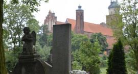 zdjęcie nr 48