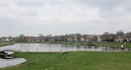 zdjęcie nr 57