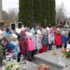 zdjęcie nr 11