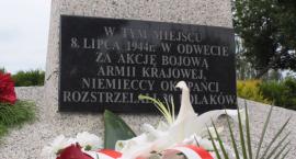 zdjęcie nr 23