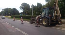 zdjęcie nr 7
