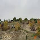 Fotka nr 1 z 20
