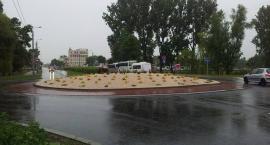 zdjęcie nr 11