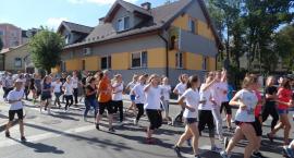 zdjęcie nr 9