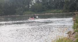 zdjęcie nr 15