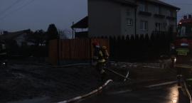 zdjęcie nr 13
