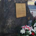 zdjęcie nr 23
