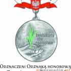 zdjęcie nr 26
