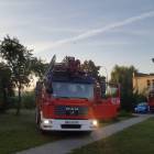 zdjęcie nr 8