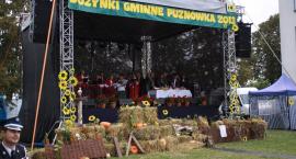 zdjęcie nr 104