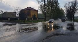 zdjęcie nr 7