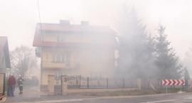 zdjęcie nr 33