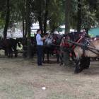 zdjęcie nr 233