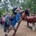 zdjęcie nr 50